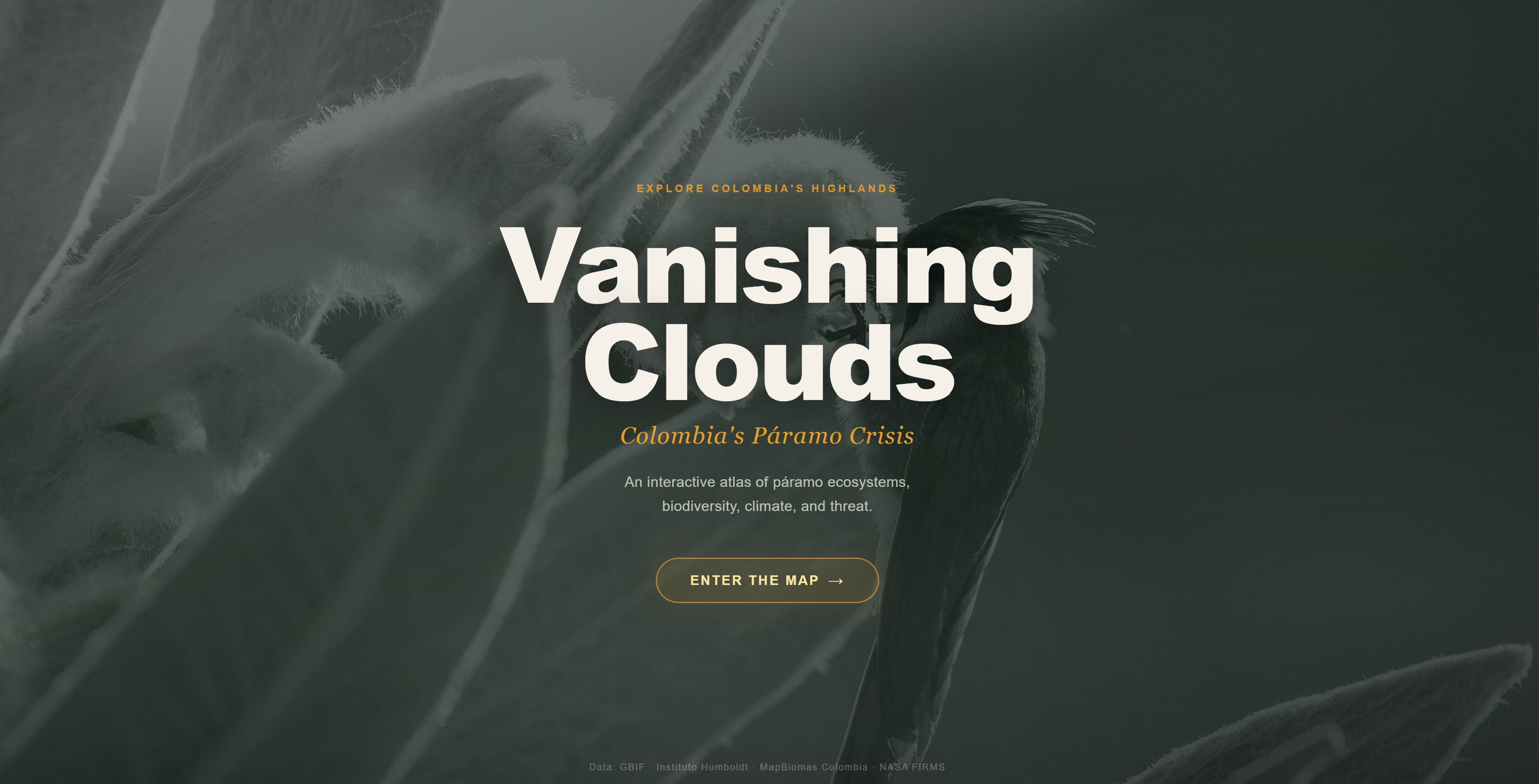 Landing page — cinematic frailejón hero with ENTER THE MAP button